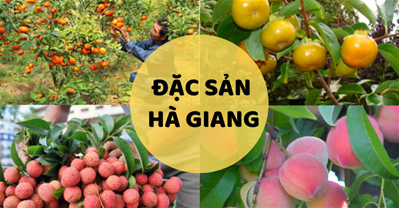 Thưởng thức các loại hoa quả ngon tại vườn 