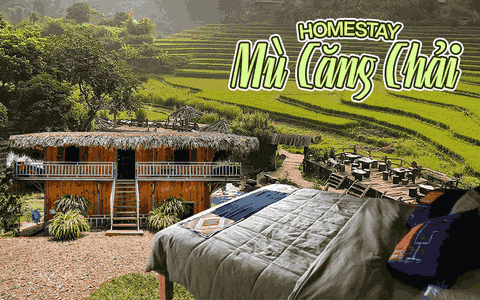 Top homestay Mù Cang Chải đẹp, tốt, giá cả hợp lí