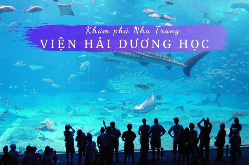 Khám phá thế giới đại dương huyền bí tại viện Hải Dương Học 