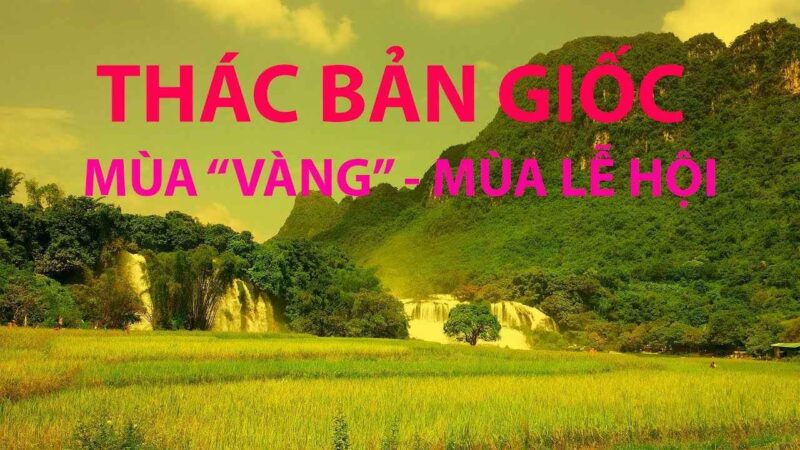 Du lịch Thác Bản Giốc mùa lúa chín 