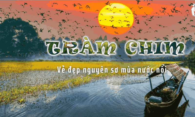 Vườn quốc gia Chàm Chim vẻ đẹp nguyên sơ 