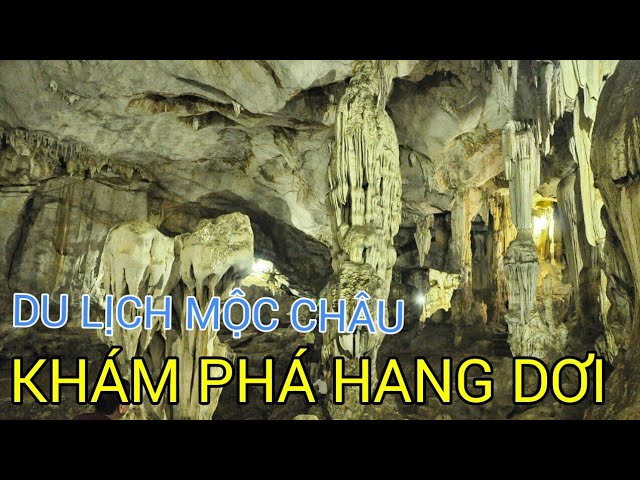 Khám phá hang Dơi 