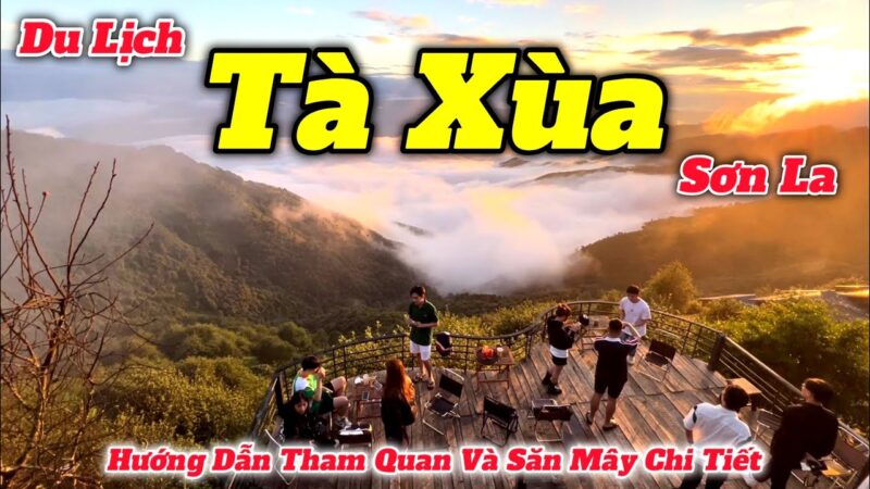 Kinh nghiệm du lịch Tà Xùa hướng dẫn chi tiết