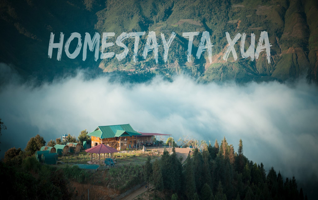 [Tổng hợp] TOP 12 homestay Tà Xùa view đẹp, săn mây đỉnh nhất